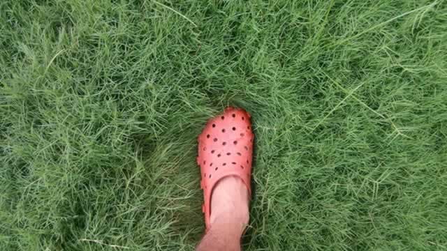 Crocs Steps Out of the Discount Bin
